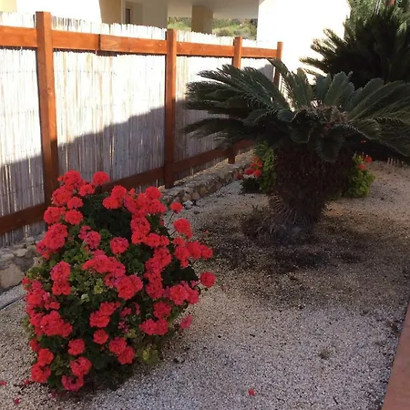 Tilly וילה Paphos